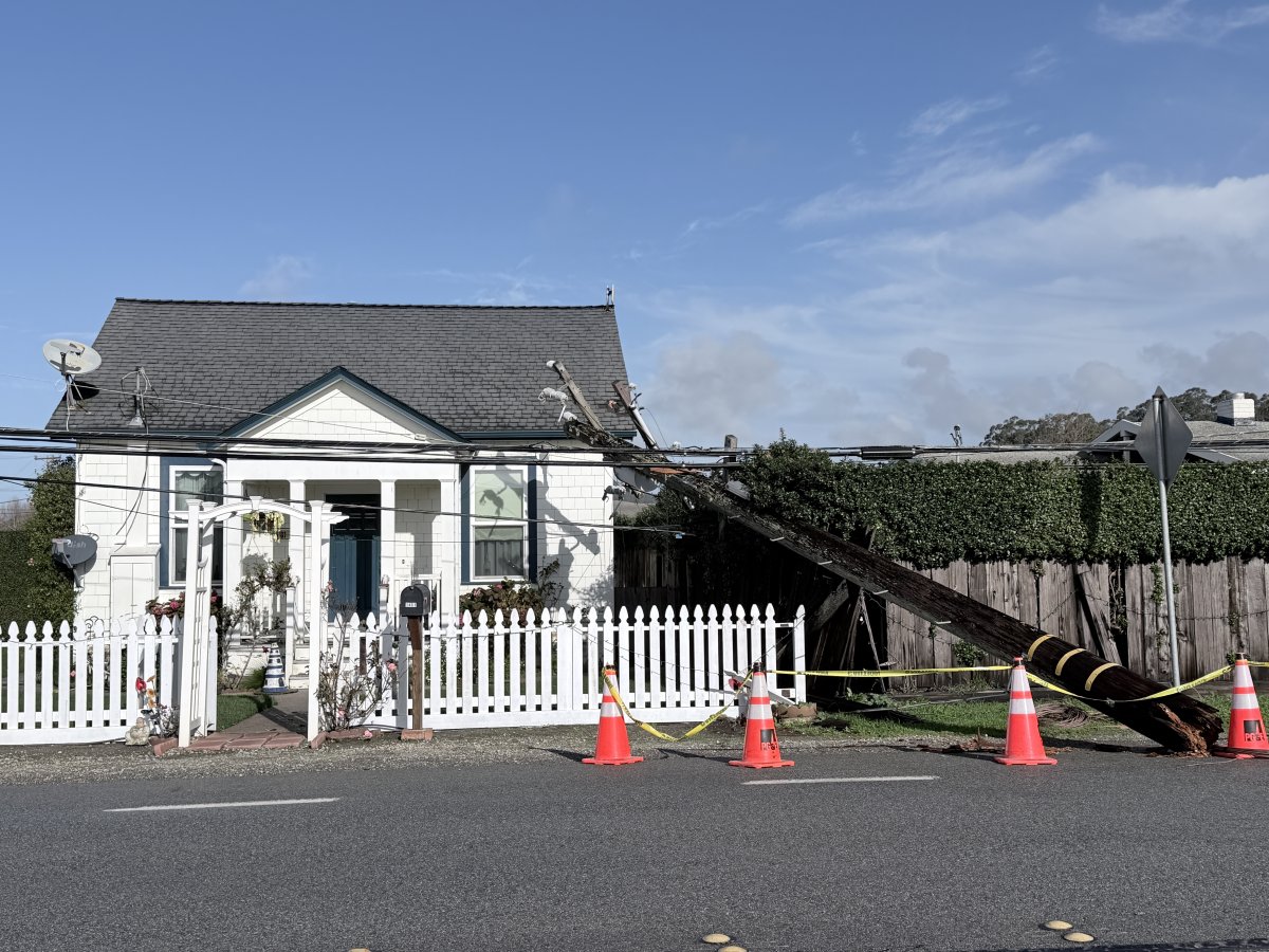 Wind Storm