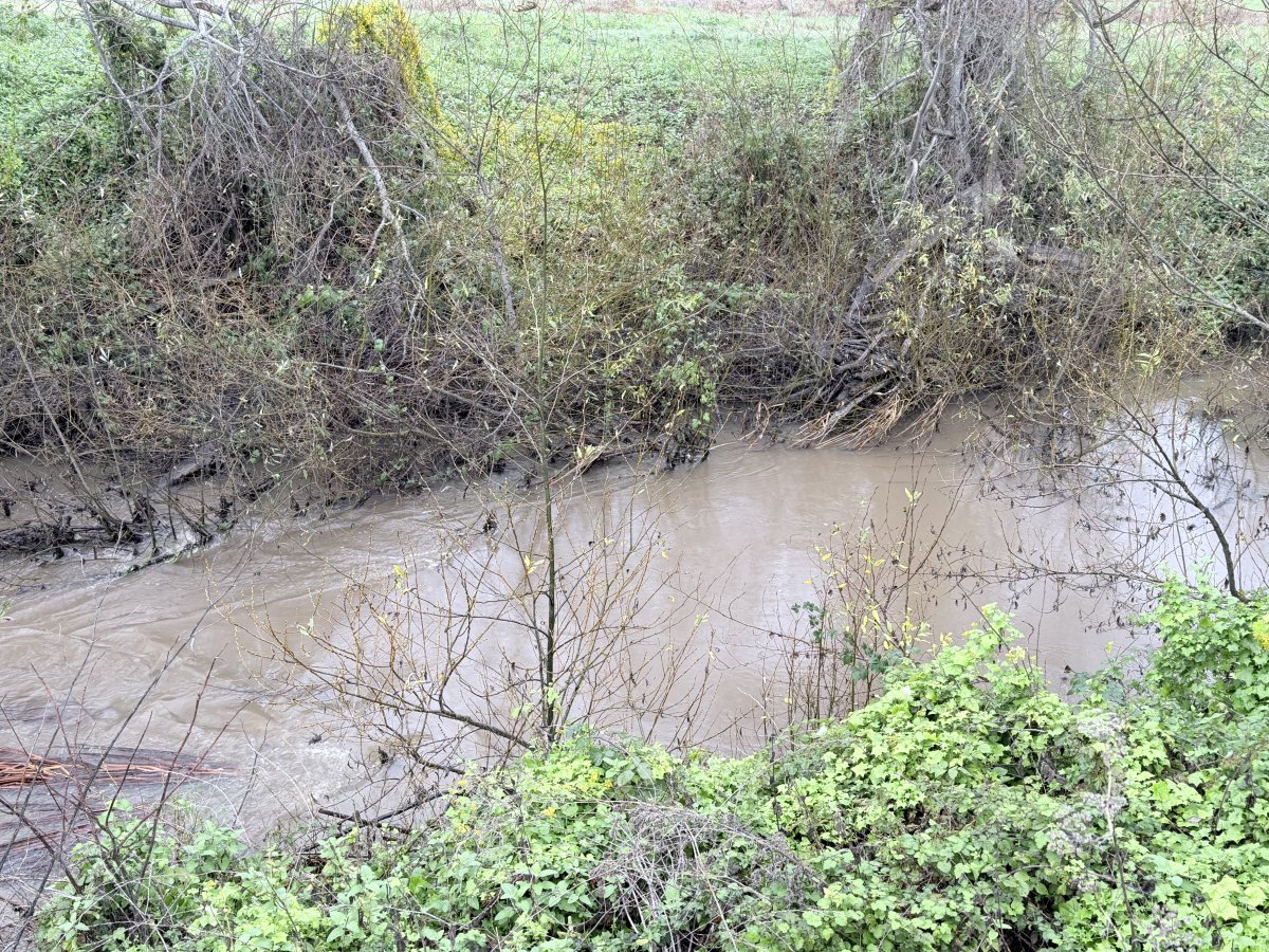 And the river is up about 1.5'!
